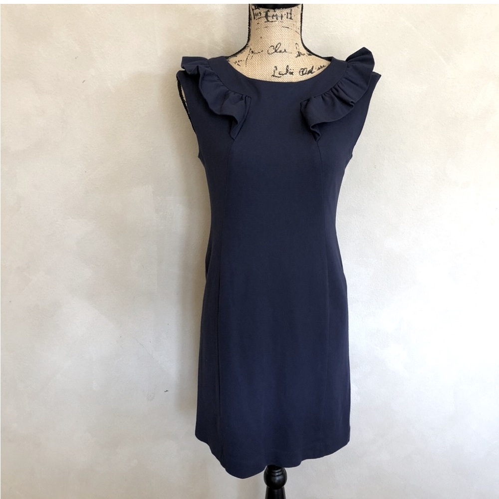 Banana Republic Navy Ruffle Dress